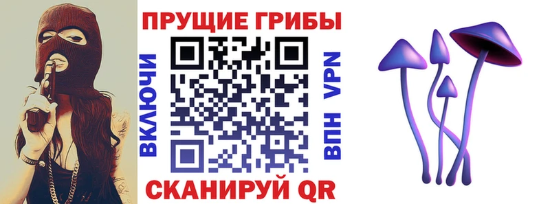 как найти закладки  ссылка на мегу онион  Псилоцибиновые грибы Magic Shrooms  Новоаннинский 