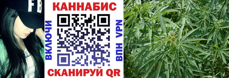 Канабис семена  продажа наркотиков  Новоаннинский 